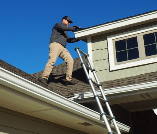 Property Inspection (1)